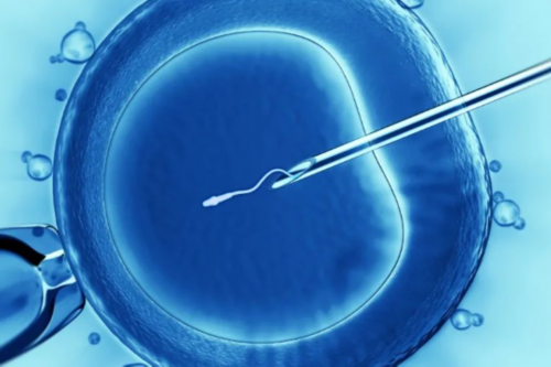 代怀孕靠谱吗_代怀成功率多高,试管婴儿移植失败后月经不来该怎么办_南京代怀