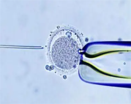 洛阳新生儿医保办理,洛阳iso认证,洛阳iso认证办理电话,洛阳iso认证机构