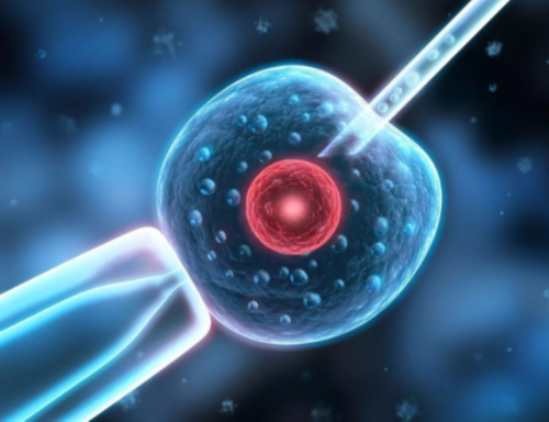 代怀给多少钱一次_靠谱代怀网_长春试管婴儿医院成功率排名最好的是哪家？