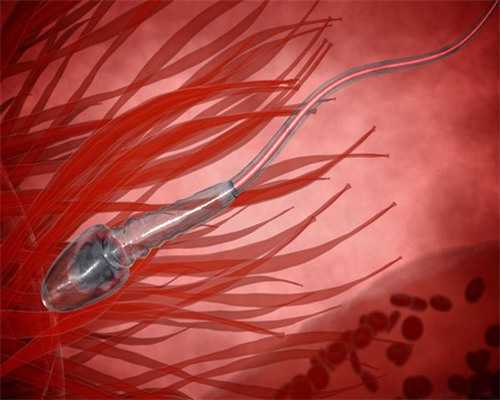 一带一路洛阳场美国试管婴儿“孕”峰会下午实况