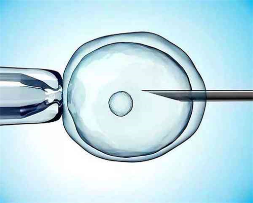 9月河南→重庆→河南站,【河南站】下半场实况分享