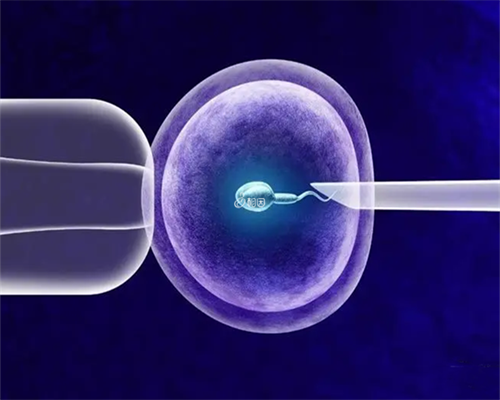 郑州哪家代孕医院,做试管婴儿选择郑州助孕的原因大全，看看你是因为