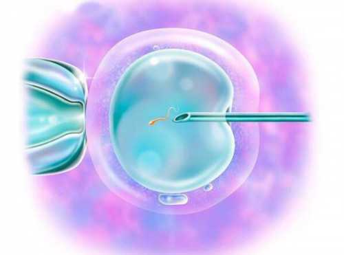 代怀代生宝宝_代怀孕來尚德引荐_濮阳三代试管生儿子费用是怎样的