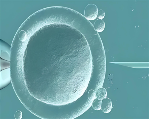 9月河南→重庆→河南站,【河南站】下半场实况分享