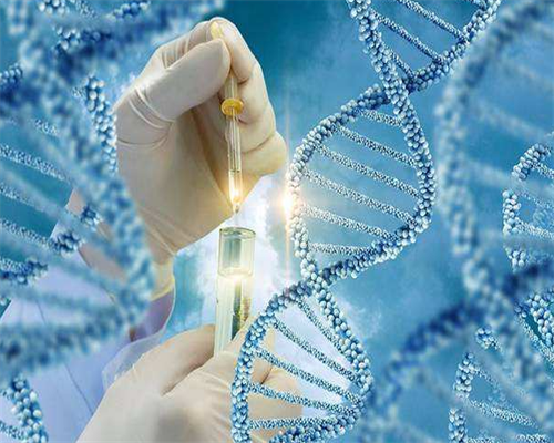 郑州人民医院郑州人民医院试管婴儿怎么样