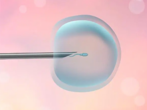 郑州哪里能治好不孕不育