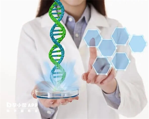 河南试管代孕中心哪家好？