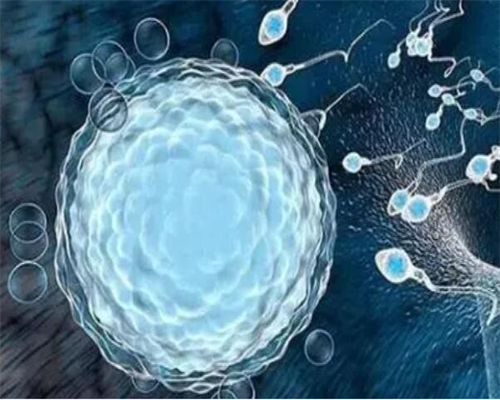 河南平顶山有做试管婴儿的医院吗？