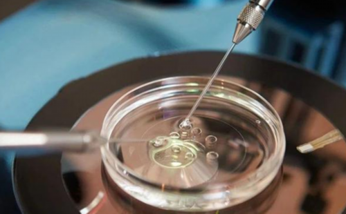 河南助孕价格,河南**男孩,河南**妈妈,河南武警试管婴儿医院价格多少钱？