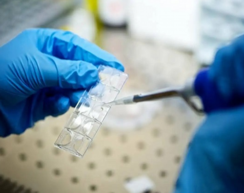 供卵代怀包生男女_代怀宝宝试管供卵_2026佳木斯试管婴儿医院排名,附成功率、