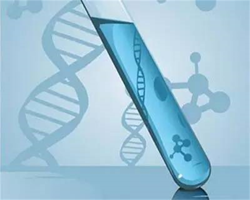 河南试管代孕中心哪家好？