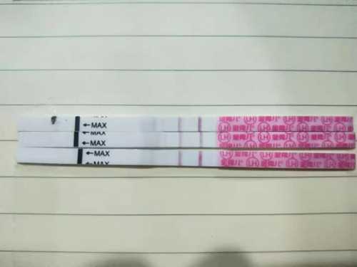 代怀联系_代怀联系_青岛大学附属医院试管婴儿妊娠成功率和活产率各多少？