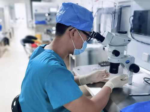 河南三代试管医院排名怎么样？河南三代试管去哪做？