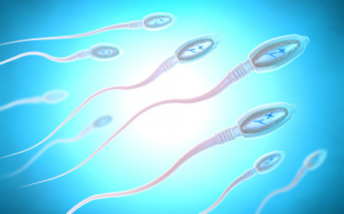 去哪找人代怀_代怀宝宝男孩_枣庄妇幼保健院试管婴儿成功率高，给你带来生育