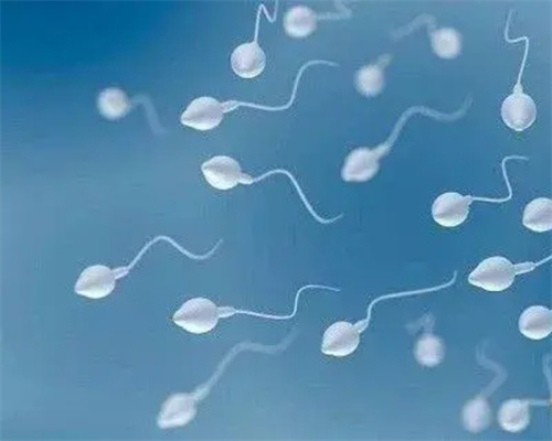 代怀成功率高_代怀孕机构微信号_丽江三代试管比二代贵多少