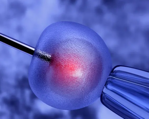 供卵自怀试管-赤峰试管婴儿医院(赤峰试管婴儿排行榜)