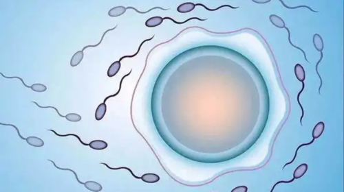 洛阳康健妇婴医院3万包成功是真的吗?,洛阳试管有用吗