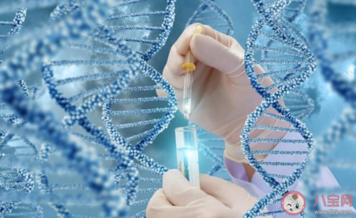 河南试管婴儿纳入医保了吗?,河南试管包生男孩是真的吗?