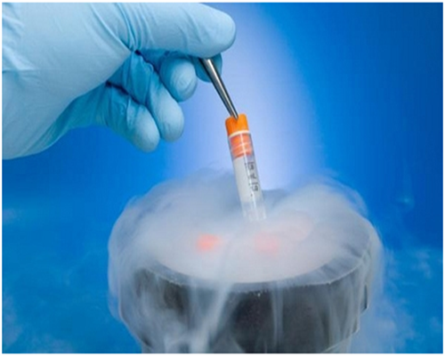 痛心，济南四个月大女婴被拒诊去世,济南大学附属洛阳中心医院（洛阳市中心