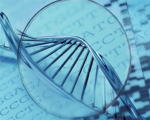 河南登封试管婴儿成功率排名比较好的医院是哪家？