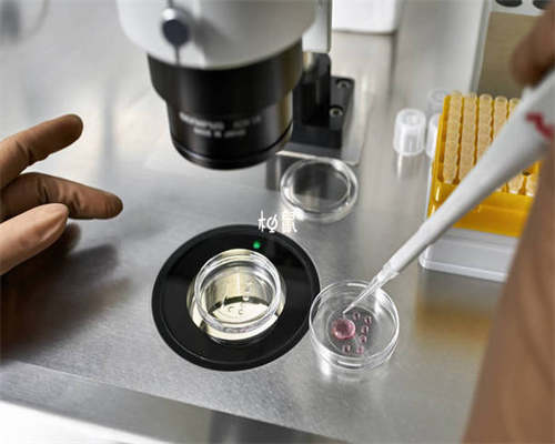 郑州三代试管婴儿多少钱(郑州有没有三代试管婴儿)