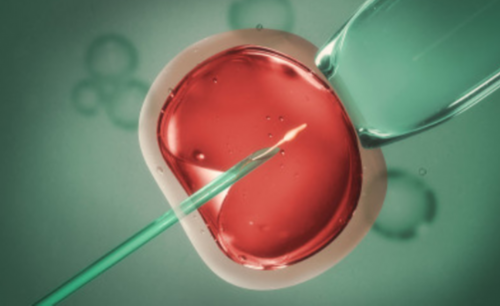 洛阳试管婴儿一代费用(洛阳试管婴儿多少钱)