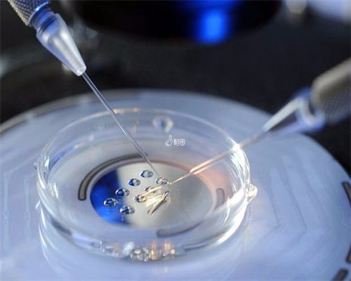 新乡三代试管包生女孩价格河南三代试管包生男孩价格