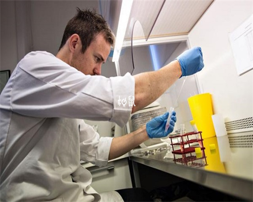 代怀小孩哪里有_专业代怀多少钱_IGww9_喜得宝助孕｜二代试管和三代试管有哪些