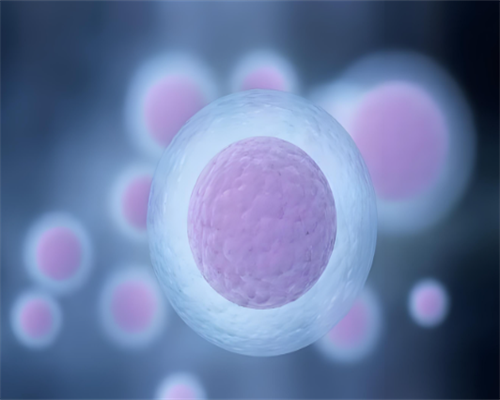 2026
年洛阳大学第一附属医院做三代试管供卵生男孩费用多少，预备20万够吗