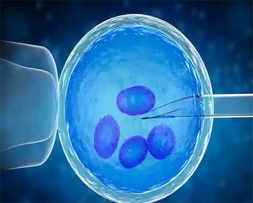 郑州那个医院看试管婴儿好郑州试管婴儿的专家