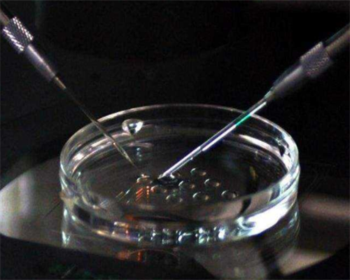 郑州哪里能治好不孕不育