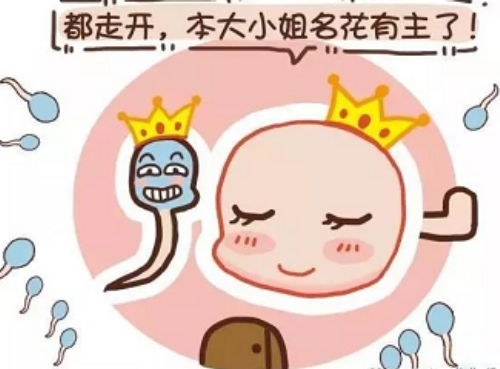 河南家圆医院怎么样,河南试管婴儿要什么手续