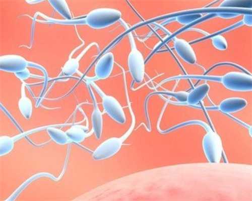 河南助孕价格,河南**男孩,河南**妈妈,河南武警试管婴儿医院价格多少钱？