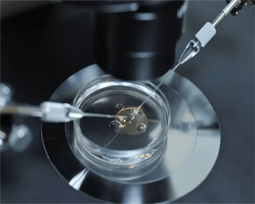 河南最大的助孕公司,河南金航标公司正规吗