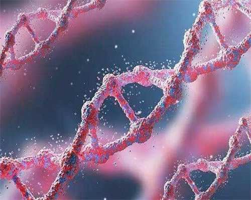 【河南站】上半场实况分享,9月河南→重庆→河南站