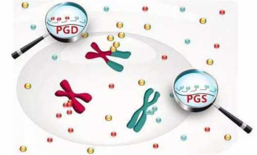 洛阳代怀中心包成功|西南医院三代试管能不能选男女？附详细成功率