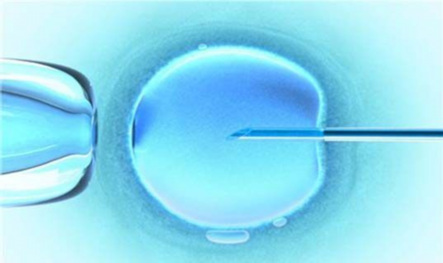 洛阳iso认证,洛阳iso认证办理电话,洛阳iso认证机构