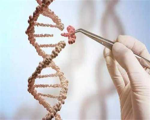 河南供卵试管去哪好？-洛阳供卵试管医院