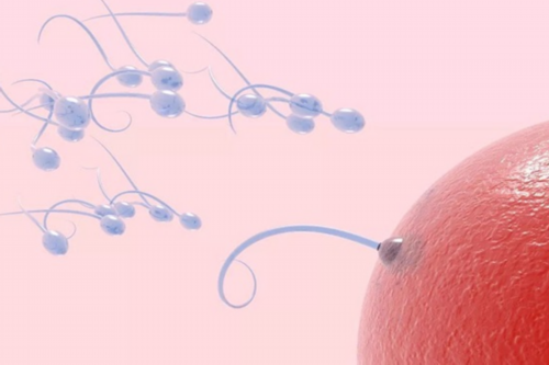 周口第三代试管选性别经历？河南三代试管比较好的医院