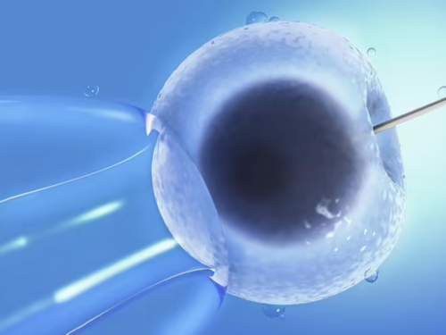 漯河三代试管包生女孩价格河南三代试管最好的医院