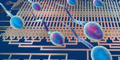 河南正规供卵试管地址在哪里,河南省民间供卵试管婴儿机构可靠吗？2026正规靠