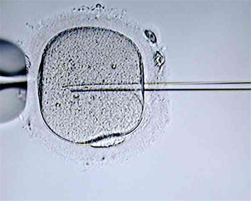 辽阳供卵代怀孕三代试管包儿子