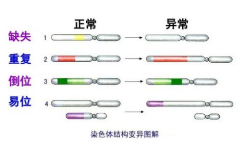 许昌三代试管的费用大概多少？河南能做三代试管婴儿的医院？