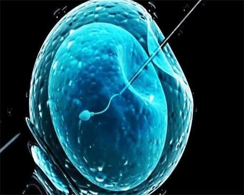 全国骨科排名第一的洛阳积水潭医院，有望落户大洛阳