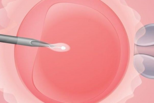 代怀代生宝宝-囊胚移植检测hcg需要多长时间？