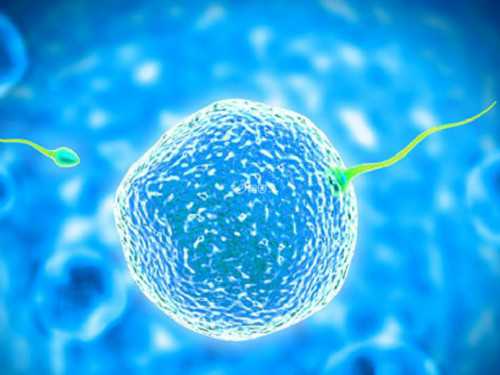 洛阳助孕价格,洛阳**男孩,洛阳**妈妈,洛阳老婆生孩子可以用老公的社保么