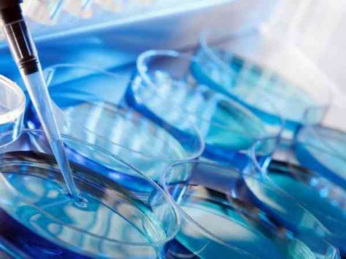 洛阳37岁能代孕吗|2026上饶妇幼保健院试管婴儿成功率一览，附试管医生推荐