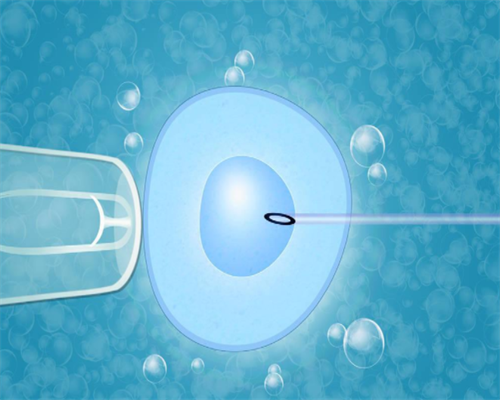 洛阳代孕经历|女性有盆腔结核，能赴美做试管婴儿吗？