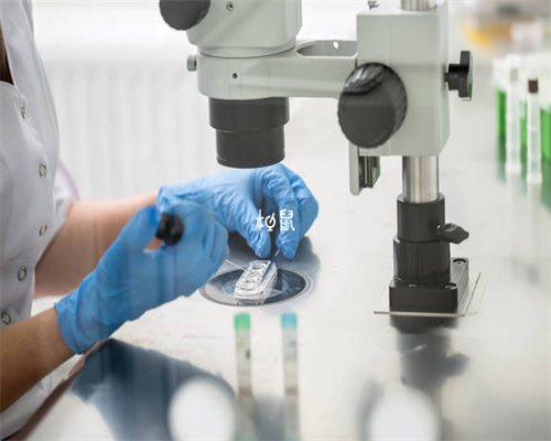 洛阳协和医院可以做供卵试管婴儿吗?,洛阳金航标公司正规吗