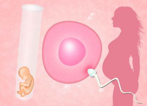 专业代怀价格_代怀网品牌_舟山第三代试管婴儿选性别会错吗舟山妇幼做试管怎